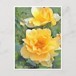 Rose Garden Briefkaart
