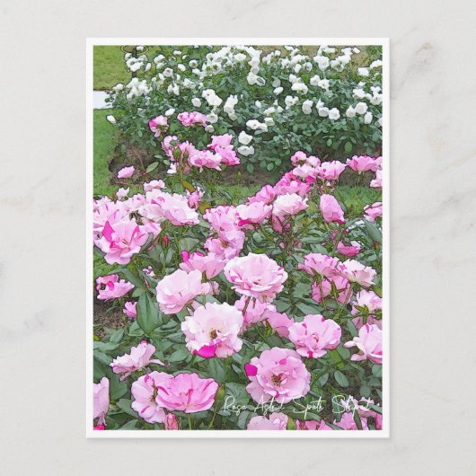 Rose Garden Briefkaart (Voorkant)