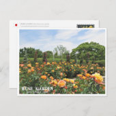 Rose Garden (Nagai Botanical Garden) ポストカード Briefkaart (Voorkant / Achterkant)