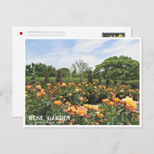 Rose Garden (Nagai Botanical Garden) ポストカード Briefkaart (Voorkant / Achterkant)