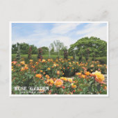 Rose Garden (Nagai Botanical Garden) ポストカード Briefkaart (Voorkant)