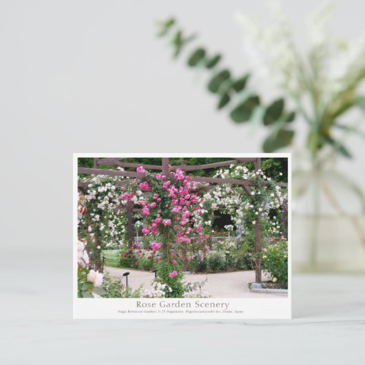 Rose Garden Scenery Briefkaart (Staand voorkant)