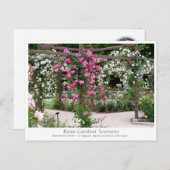 Rose Garden Scenery Briefkaart (Voorkant / Achterkant)
