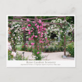 Rose Garden Scenery Briefkaart (Voorkant)