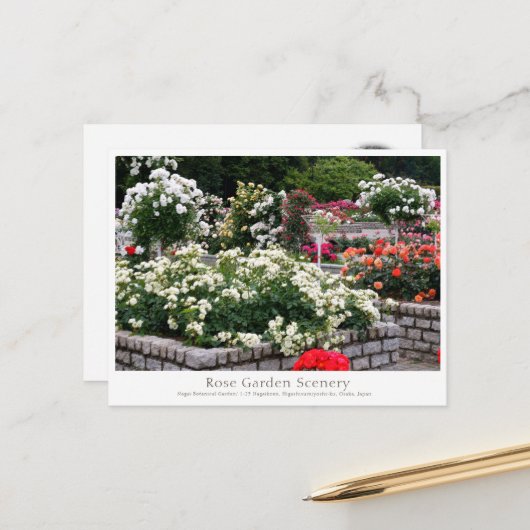 Rose Garden Scenery Briefkaart (Voorkant / Achterkant in situ)