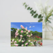 Rose garden scenery：Postcard Briefkaart (Staand voorkant)