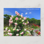 Rose garden scenery：Postcard Briefkaart (Voorkant)