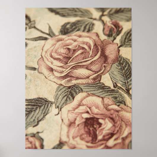 Rose Garden Sketch Poster (Voorkant)