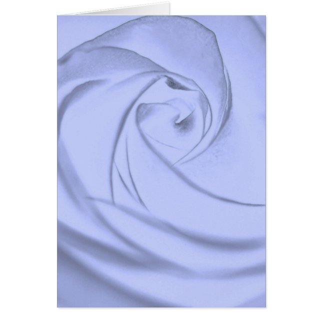 Rose in blue.jpg (Voorkant)