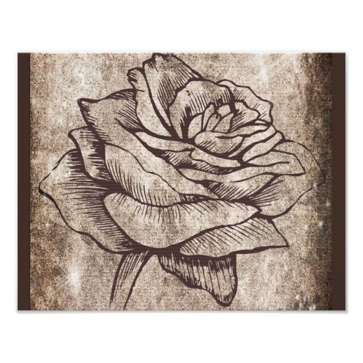Rose Ink Drawing Foto Afdruk (Voorkant)