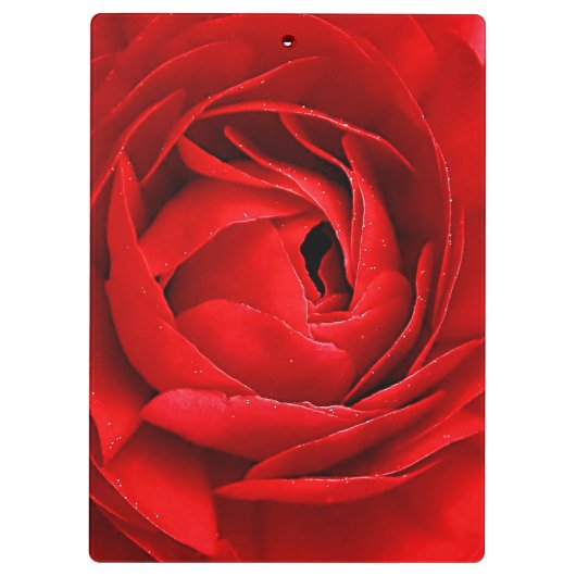 ROSE KLEMBORD (Achterkant)