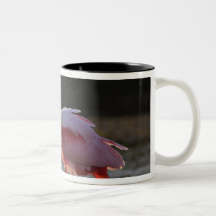 Rosé lepelbek, Ajaia ajaja, Ding Darling Tweekleurige Koffiemok
