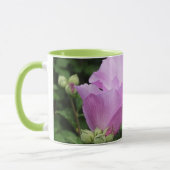 Rose of Sharon Mok (Links)