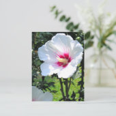 Rose of Sharon:Postcard Briefkaart (Staand voorkant)