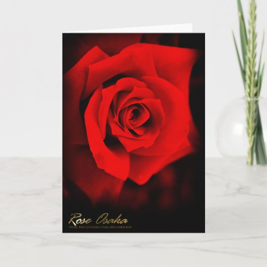 Rose Osaka Feestdagen Kaart (Voorkant)