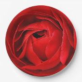 ROSE PAPIEREN BORDJE (Voorkant)