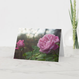 Rose Photo Standard, 5 inch x 7 inch Folded Greeti Kaart