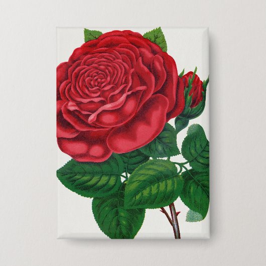 Rose Print Rochester Lithograferen en Drukken Co Button (Voorkant)