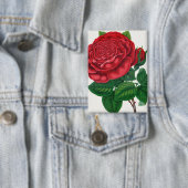 Rose Print Rochester Lithograferen en Drukken Co Button (Insitu)