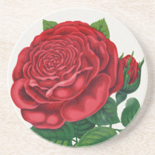 Rose Print Rochester Lithograferen en Drukkerij Co Zandsteen Onderzetter