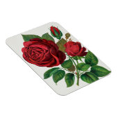 Rose Print Rochester Lithografering and Printing C Magneet (Rechterzijde)