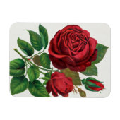Rose Print Rochester Lithografering and Printing C Magneet (Horizontaal)