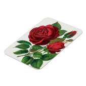 Rose Print Rochester Lithografering and Printing C Magneet (Linkerzijde)