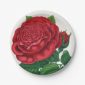 Rose Print Rochester Lithographing and Printing Co Papieren Bordje (Voorkant)