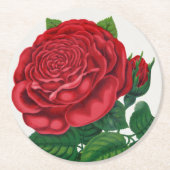 Rose Print Rochester Lithographing and Printing Co Ronde Kartonnen Onderzetter (Voorkant)