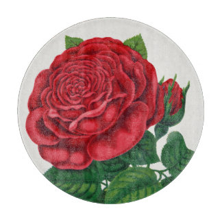 Rose Print Rochester Lithographing and Printing Co Snijplank