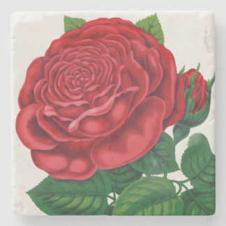 Rose Print Rochester Lithographing and Printing Co Stenen Onderzetter