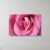 Rose Queen Romance II Stretched Canvas Print (Voorkant)