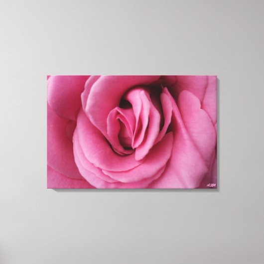Rose Queen Romance II Stretched Canvas Print (Voorkant)