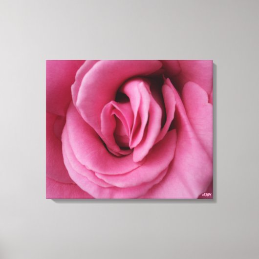 Rose Queen Romance Stretched Canvas Print (Voorkant)