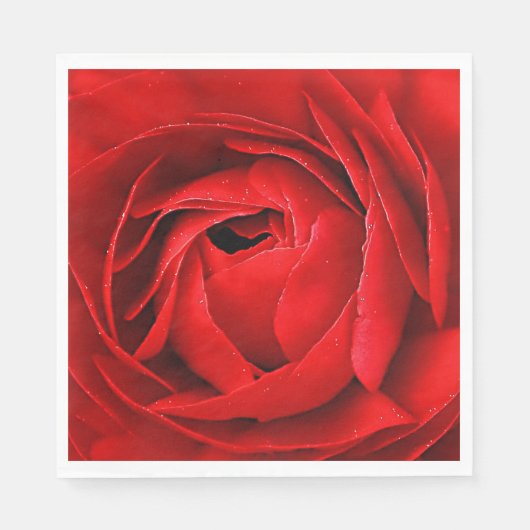 ROSE SERVETTEN (Voorkant)