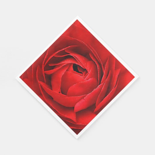 ROSE SERVETTEN (Hoek)