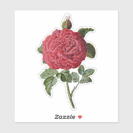  ROSE TRANSPARANTE STICKER (Vel)