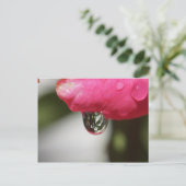 Rose with a view briefkaart (Staand voorkant)