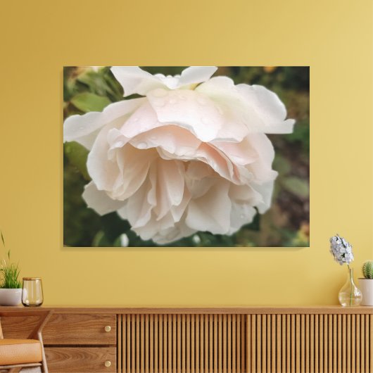 Rose with raindrops canvas afdruk (Insitu (Woonkamer))