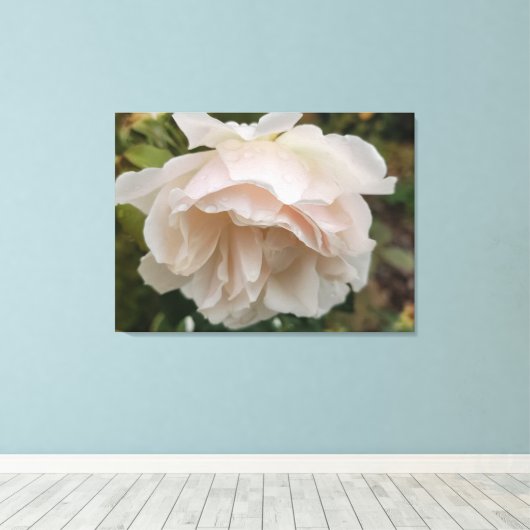 Rose with raindrops canvas afdruk (Insitu (Houten vloer))