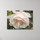 Rose with raindrops canvas afdruk (Voorkant)