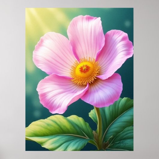 Roseate Blush Poster (Voorkant)