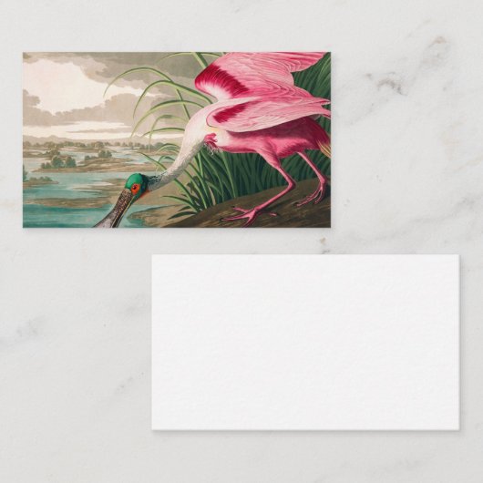 Roseate Lepelaar door John James Audubon Visitekaartje (Voorkant / Achterkant)