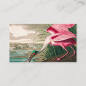 Roseate Lepelaar door John James Audubon Visitekaartje (Voorkant)