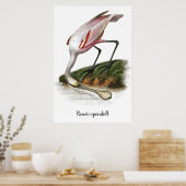 Roseate lepelaar schilderij poster (Keuken)