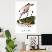 Roseate lepelaar schilderij poster (Thuiskantoor)