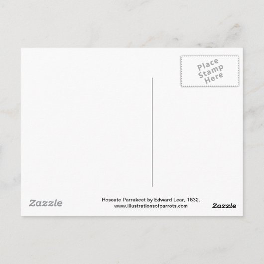 Roseate Parrakeet door Edward Lear Briefkaart (Achterkant)