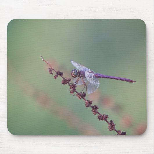 Roseate skimmer dragonfly muismat (Voorkant)