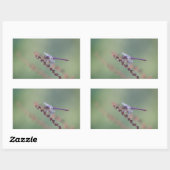 Roseate Skimmer Dragonfly Rechthoekige Sticker (Vel)