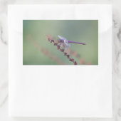 Roseate Skimmer Dragonfly Rechthoekige Sticker (Tas)